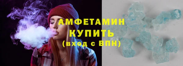 трава Няндома
