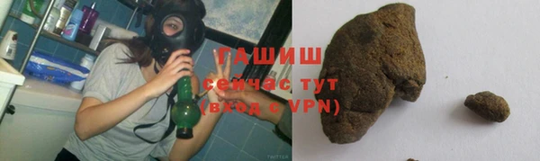трава Няндома