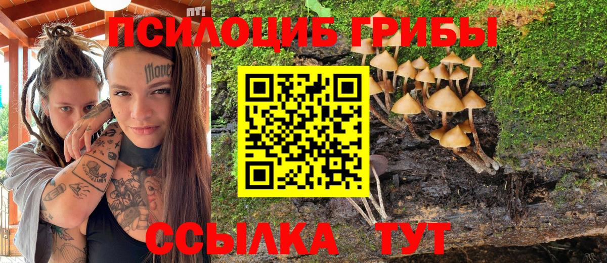 Псилоцибиновые грибы MAGIC MUSHROOMS Туймазы