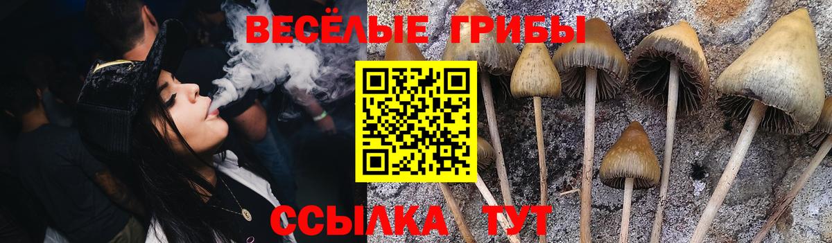 Туймазы  купить   Вход с VPN  Галлюциногенные грибы Magic Shrooms 